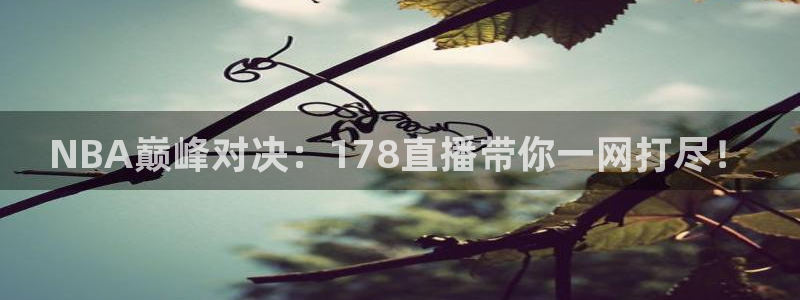 说球帝下载：NBA巅峰对决：178直播带你一网打尽！
