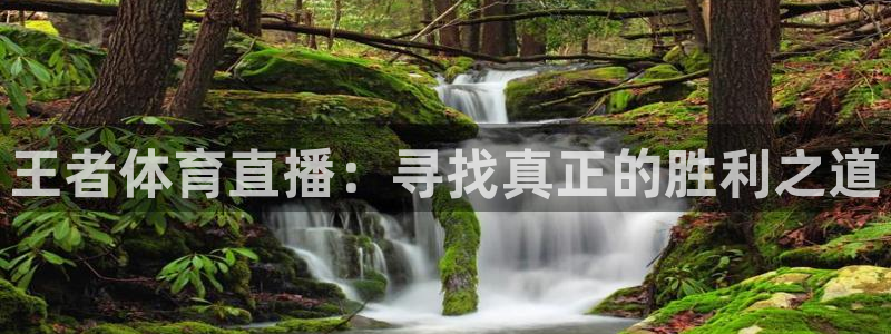 nba直播说球帝：王者体育直播：寻找真正的胜利之道