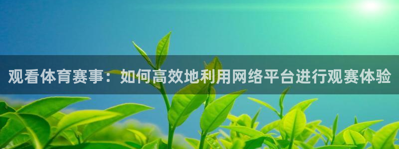 说球帝官网入口：观看体育赛事：如何高效地利用网络平台进行观赛体验